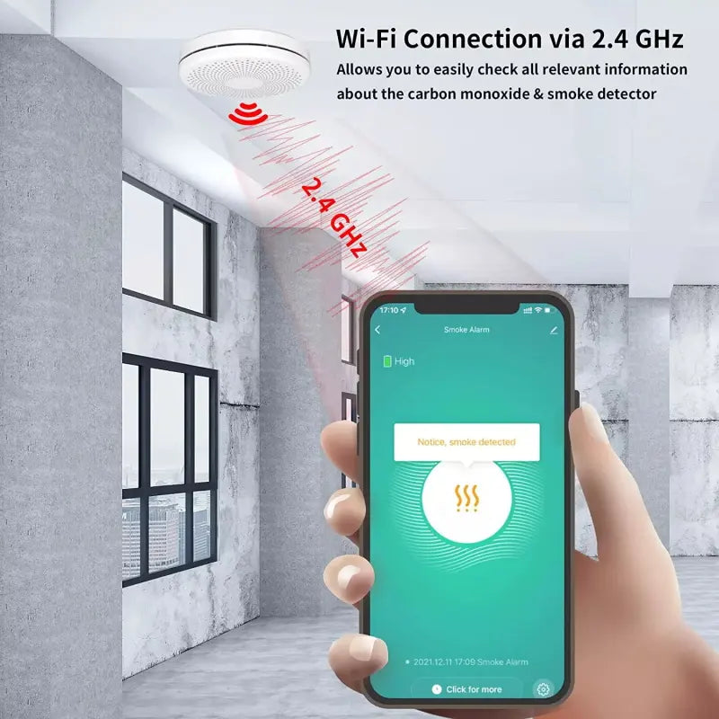 Smoke & Carbon Monoxide Detector with WiFi Alarm