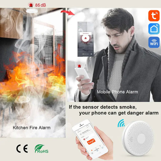 Smoke & Carbon Monoxide Detector with WiFi Alarm